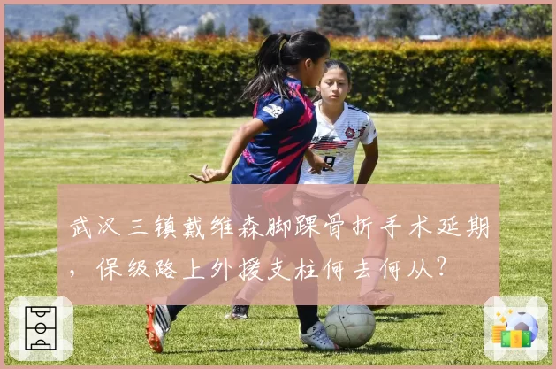 武汉三镇戴维森脚踝骨折手术延期,保级路上外援支柱何去何从?
