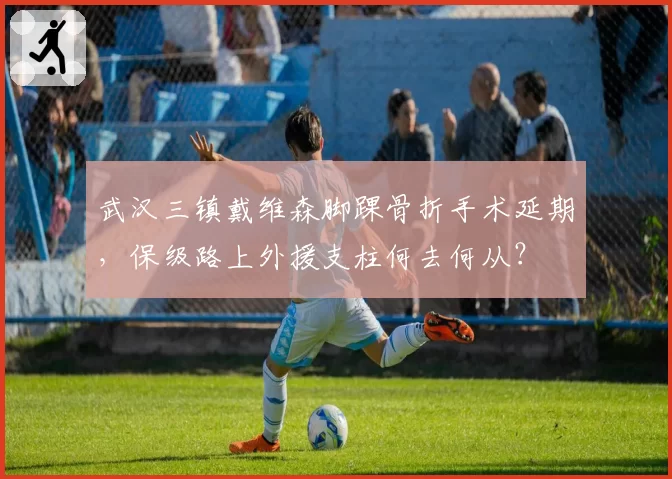 武汉三镇戴维森脚踝骨折手术延期,保级路上外援支柱何去何从?