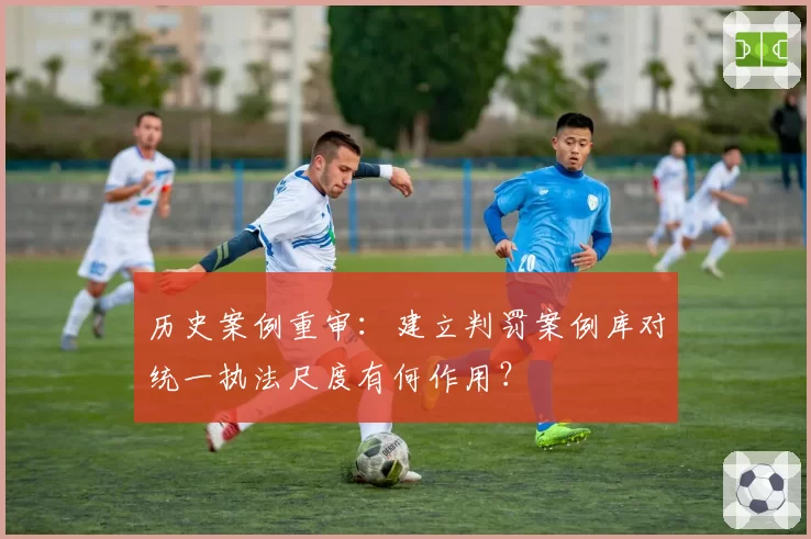 历史案例重审：建立判罚案例库对统一执法尺度有何作用？